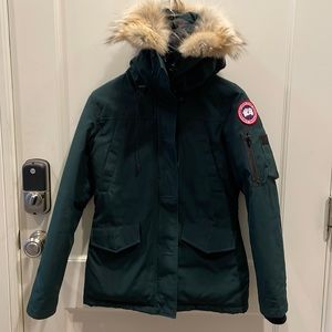 Canada goose